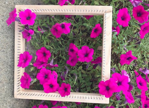 8 square 3 small